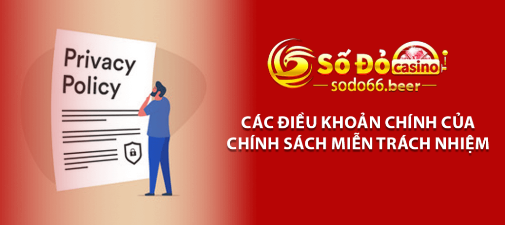 Các điều khoản chính của chính sách miễn trách nhiệm