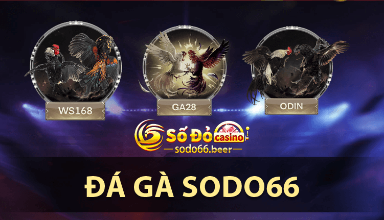 Đá gà sodo66